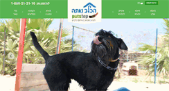Desktop Screenshot of petstop.co.il